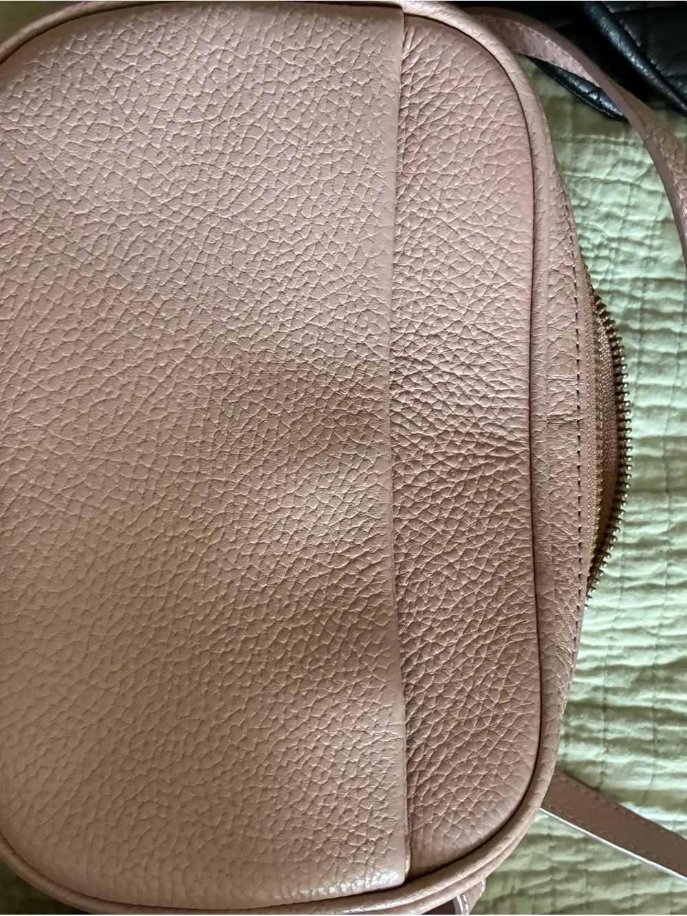 Pebbled Leather Crossbody Bag in Light Blush